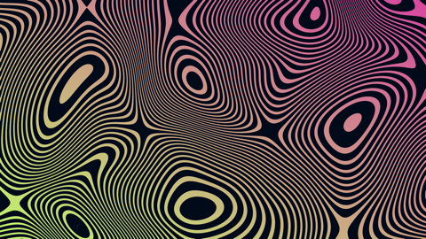 Topo